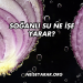 Soğanlı Su Ne İşe Yarar?