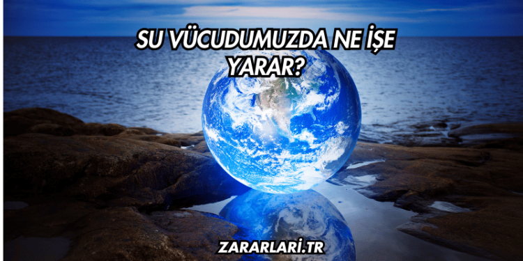 Su Vücudumuzda Ne İşe Yarar?