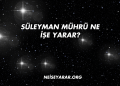 Süleyman Mührü Ne İşe Yarar?