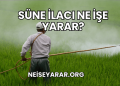 Süne İlacı Ne İşe Yarar?