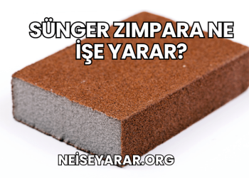 Sünger Zımpara Ne İşe Yarar?