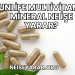 Sunlife Multivitamin Mineral Ne İşe Yarar?