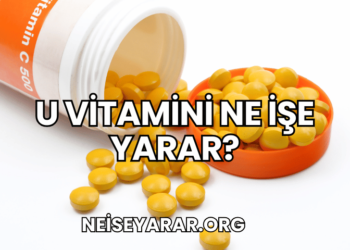 U Vitamini Ne İşe Yarar?