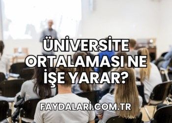 Üniversite Ortalaması Ne İşe Yarar?