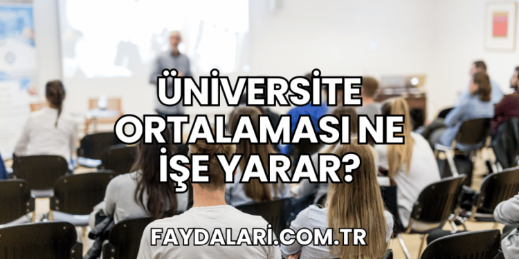 Üniversite Ortalaması Ne İşe Yarar?