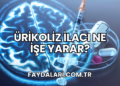 Ürikoliz İlacı Ne İşe Yarar?
