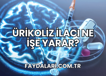 Ürikoliz İlacı Ne İşe Yarar?