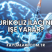Ürikoliz İlacı Ne İşe Yarar?