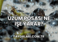 Üzüm Posası Ne İşe Yarar?