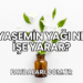 Yasemin Yağı Ne İşe Yarar?