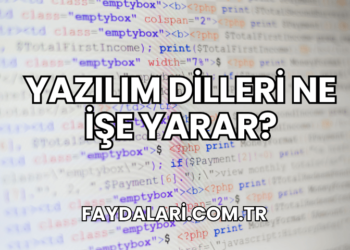 Yazılım Dilleri Ne İşe Yarar?