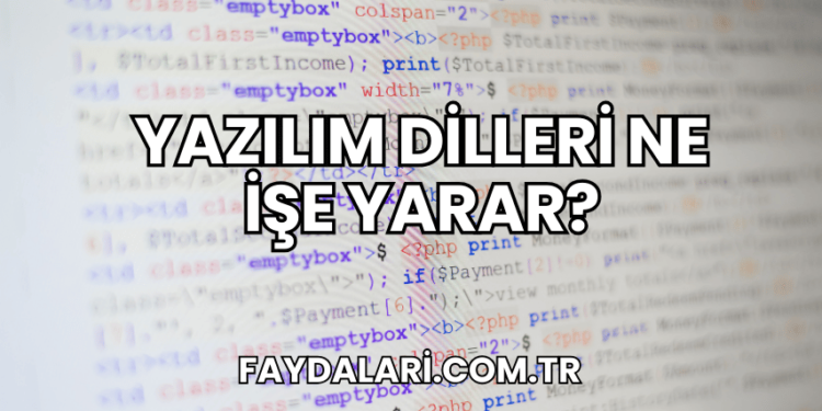 Yazılım Dilleri Ne İşe Yarar?
