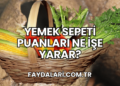 Yemek Sepeti Puanları Ne İşe Yarar?