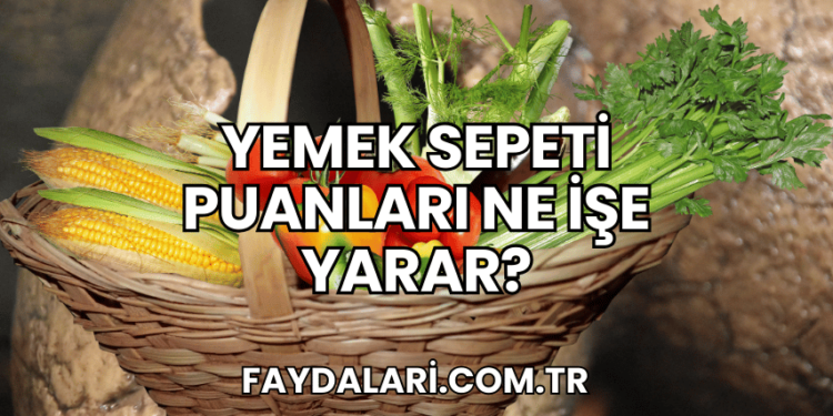 Yemek Sepeti Puanları Ne İşe Yarar?