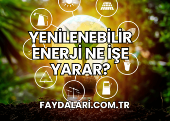 Yenilenebilir Enerji Ne İşe Yarar?