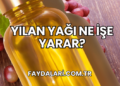 Yılan Yağı Ne İşe Yarar?