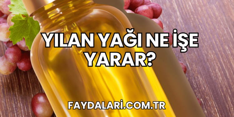 Yılan Yağı Ne İşe Yarar?