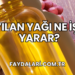 Yılan Yağı Ne İşe Yarar?