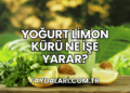 Yoğurt Limon Kürü Ne İşe Yarar?