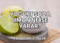 Yoğurt Soda Limon Ne İşe Yarar?
