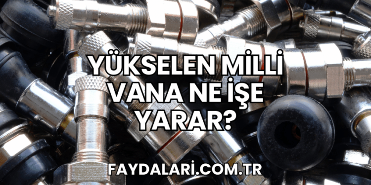 Yükselen Milli Vana Ne İşe Yarar?