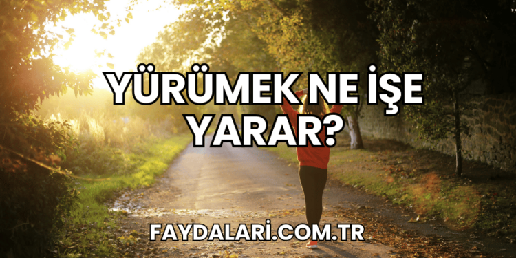 Yürümek Ne İşe Yarar?