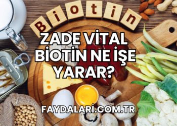 Zade Vital Biotin Ne İşe Yarar?