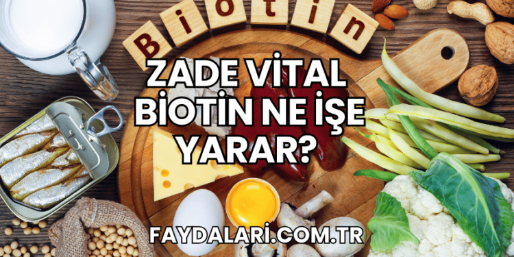 Zade Vital Biotin Ne İşe Yarar?
