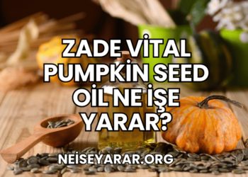 Zade Vital Pumpkin Seed Oil Ne İşe Yarar?