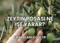 Zeytin Posası Ne İşe Yarar?
