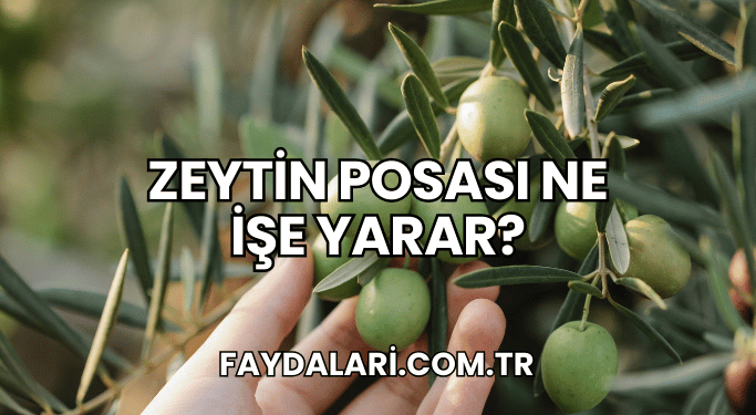 Zeytin Posası Ne İşe Yarar?