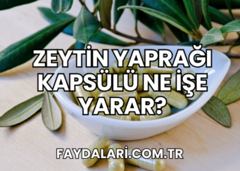Zeytin Yaprağı Kapsülü Ne İşe Yarar?
