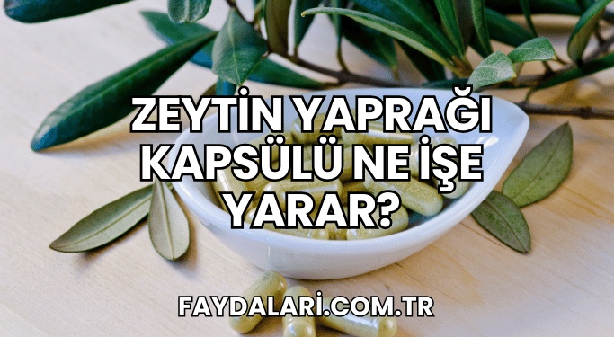 Zeytin Yaprağı Kapsülü Ne İşe Yarar?