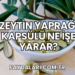 Zeytin Yaprağı Kapsülü Ne İşe Yarar?