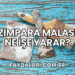 Zımpara Malası Ne İşe Yarar?