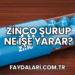 Zinco Şurup Ne İşe Yarar?