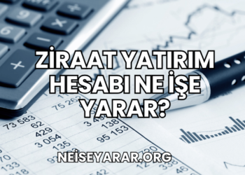 Ziraat Yatırım Hesabı Ne İşe Yarar?
