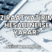 Ziraat Yatırım Hesabı Ne İşe Yarar?