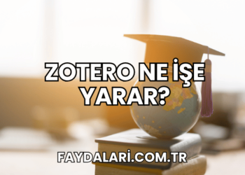 Zotero Ne İşe Yarar?