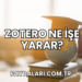 Zotero Ne İşe Yarar?