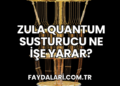 Zula Quantum Susturucu Ne İşe Yarar?
