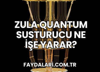 Zula Quantum Susturucu Ne İşe Yarar?