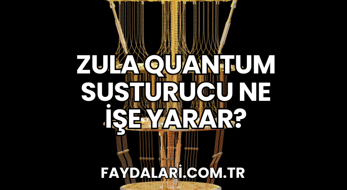 Zula Quantum Susturucu Ne İşe Yarar?