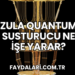 Zula Quantum Susturucu Ne İşe Yarar?