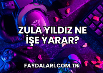 Zula Yıldız Ne İşe Yarar?
