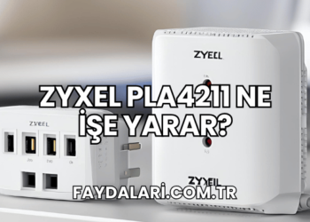 Zyxel PLA4211 Ne İşe Yarar?