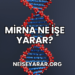 miRNA Ne İşe Yarar?
