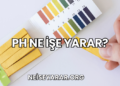 pH Ne İşe Yarar?