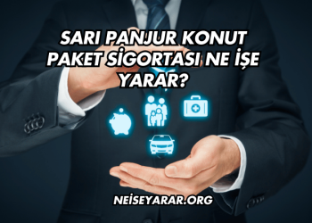 Sarı Panjur Konut Paket Sigortası Ne İşe Yarar?