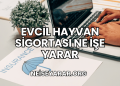 Evcil Hayvan Sigortası Ne İşe Yarar